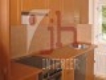 A photo of a fox