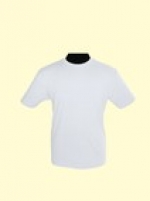 A photo of a fox