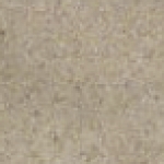 A photo of a fox