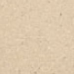 A photo of a fox