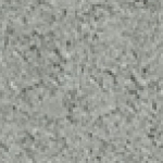 A photo of a fox