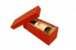 A photo of a fox