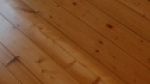 A photo of a fox