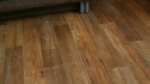 A photo of a fox