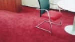 A photo of a fox