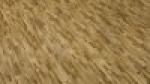 A photo of a fox