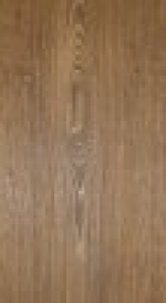 A photo of a fox