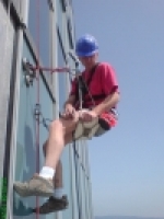 A photo of a fox