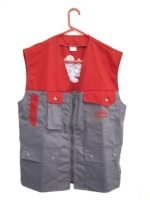 A photo of a fox