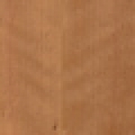 A photo of a fox