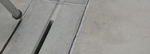 A photo of a fox