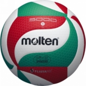  Volejbalový míč Molten V5M5000