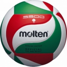  Volejbalový míč Molten V5M5500