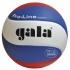 Volejbalový míč Gala Pro-Line - BV 5591 S