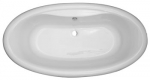 A photo of a fox