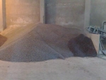 A photo of a fox