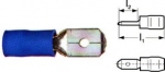 A photo of a fox