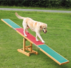 Agility překážky