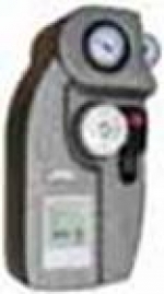 A photo of a fox
