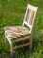 A photo of a fox