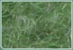A photo of a fox
