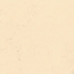 A photo of a fox
