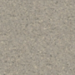 A photo of a fox