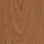 A photo of a fox