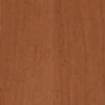 A photo of a fox