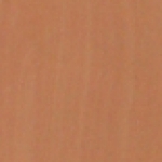 A photo of a fox