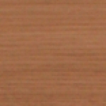 A photo of a fox
