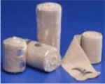 A photo of a fox