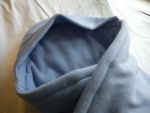 A photo of a fox