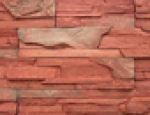 A photo of a fox