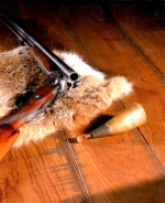 A photo of a fox