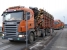 Doprava dřeva Scania R500