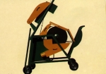 A photo of a fox
