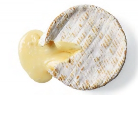 Camembert