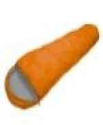 A photo of a fox
