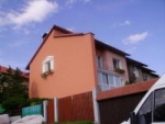 A photo of a fox