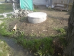 A photo of a fox