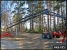 AUER Timberlift 