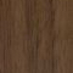 A photo of a fox