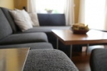 A photo of a fox