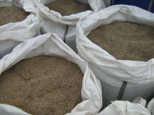 Biopaliva , Dřevěné brikety a peletky