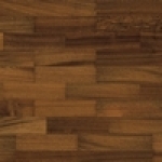 A photo of a fox