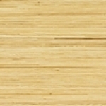 A photo of a fox