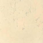 A photo of a fox