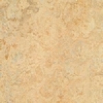 A photo of a fox