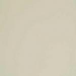 A photo of a fox